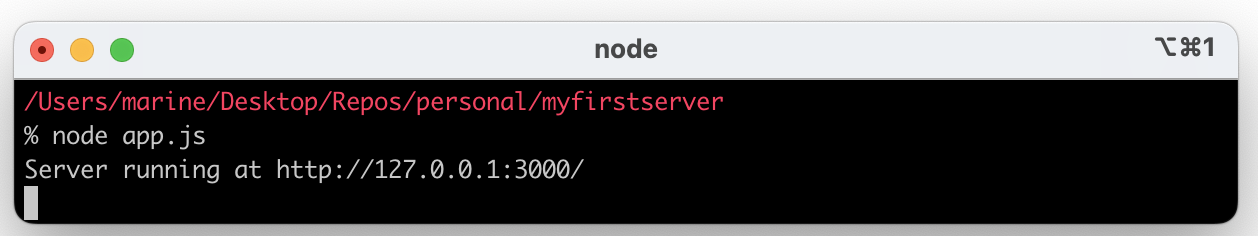 A screenshot of the command line tool after running node app.js, indicates the web server is running